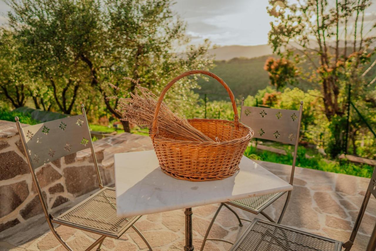L'Otello B&B Pistoia Eksteriør bilde