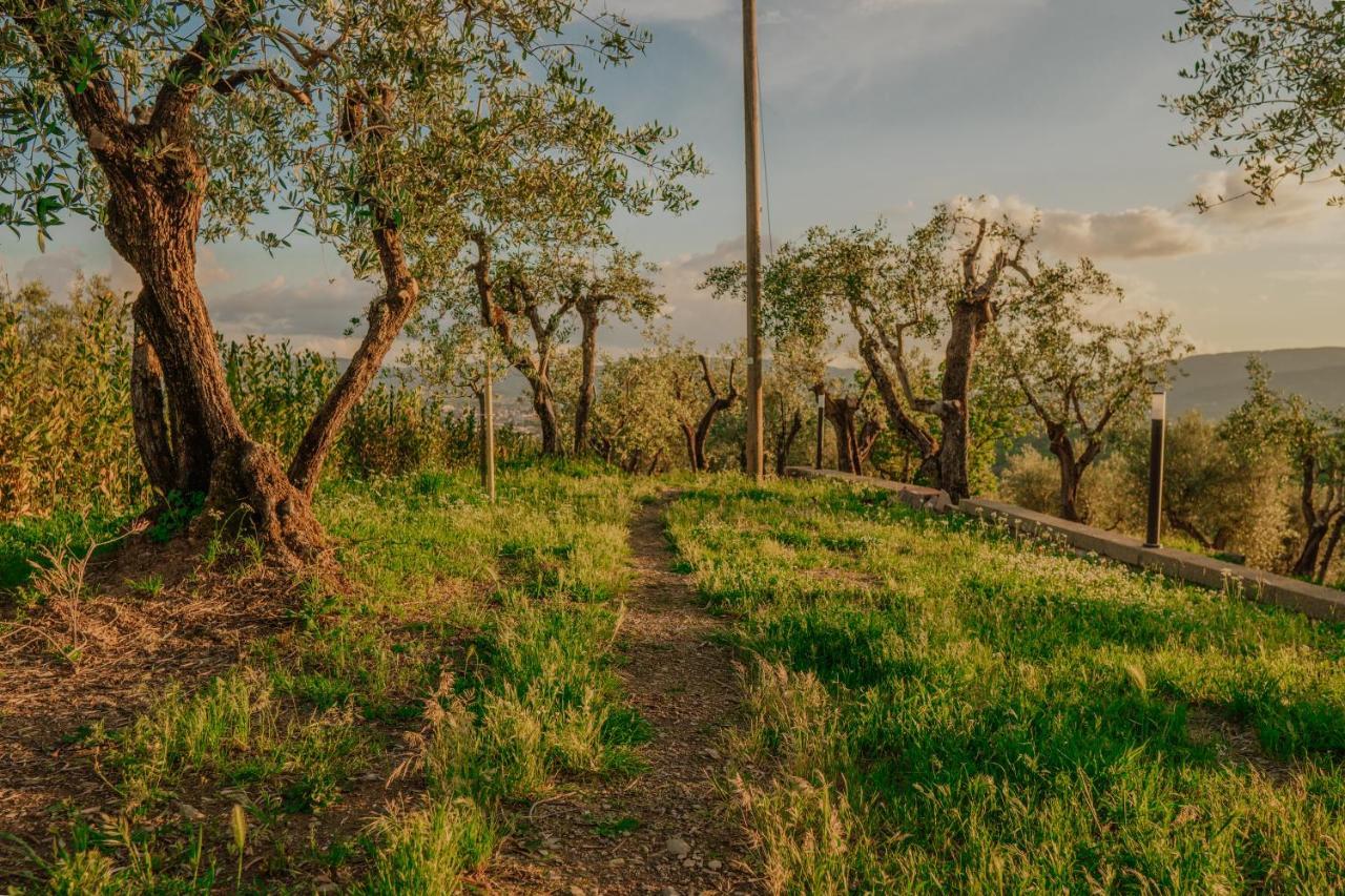 L'Otello B&B Pistoia Eksteriør bilde